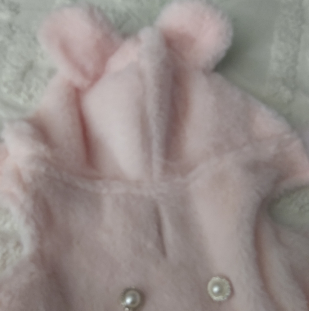 Dogs clothing